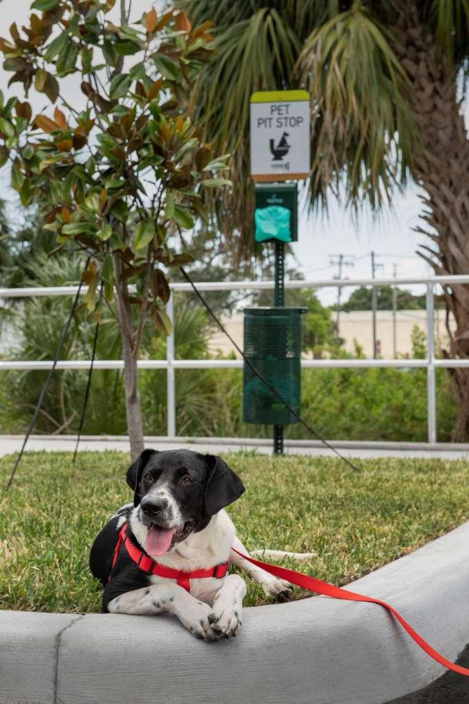 Home2 Suites By Hilton Tampa Westshore Airport Kültér fotó